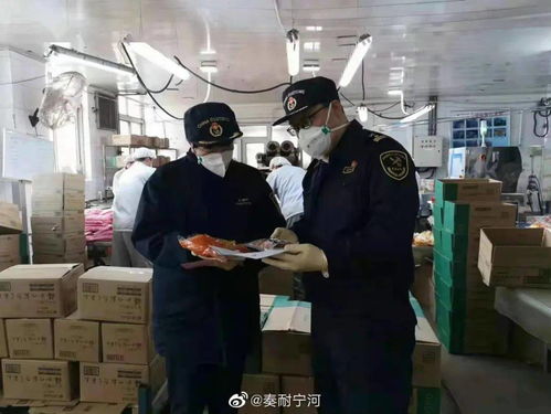 寧河區(qū)腌漬菜“抵港直裝”模式提速出口 2小時(shí)直達(dá)碼頭作業(yè)區(qū)